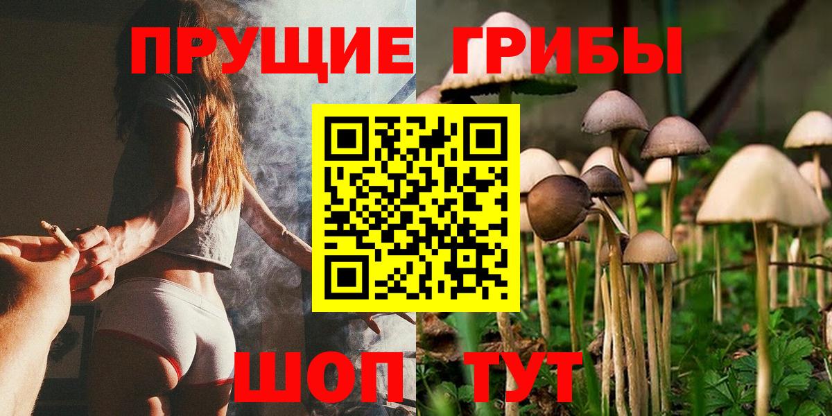 Галлюциногенные грибы мухоморы  что такое   Всеволожск  Вход с VPN 